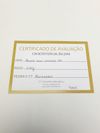 Brinco em ouro amarelo 18K e esmeralda