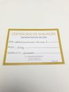 Anel em ouro amarelo 18K 