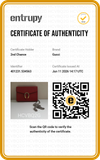 Bolsa Gucci Dionysus Wallet on Chain 
