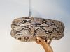 Bolsa Louis Vuitton Galliera python tote 