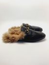 Mule Gucci Princeton 