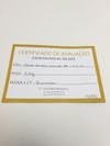 Anel Coliseu em ouro amarelo 18K 