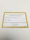 Anel em ouro amarelo 18K e pedras 