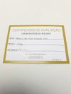 Brinco em ouro amarelo 18K 