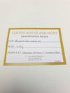 Brinco em ouro amarelo 18K 