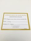 Acessório para Brinco em ouro amarelo 18K 