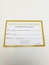 Gargantilha em ouro branco 18K 