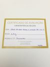 Anel Vivara em ouro amarelo e ouro branco 18K 