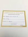 Pulseira em ouro amarelo 18K 