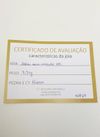 Gargantilha em ouro amarelo 18K 