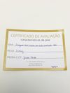 Pingente para brinco em ouro amarelo 18K