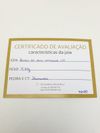 Brinco Monte Carlo Ouro e Brilhantes 