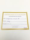 Argola em ouro amarelo 18K 