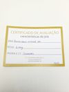 Brinco Coliseu Ear Cuff ouro amarelo 18K 
