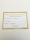 Brinco Carla Amorim Autoral Button