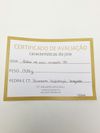 Colar HStern ouro amarelo 18K 