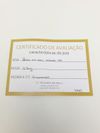 Brinco Vivara ouro amarelo 18K