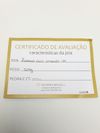 Pulseira corrente em ouro amarelo 18K