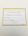 Pingente em ouro amarelo 18K
