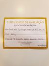 Anel em ouro branco 