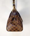 Bolsa Louis Vuitton Trevi Damier Ébène 