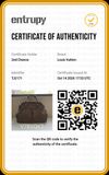 Bolsa Louis Vuitton Trevi Damier Ébène 