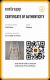 Trench Coat Burberry 