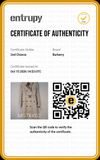 Trench Coat Burberry 