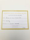 Brinco Vivara ouro amarelo 18K