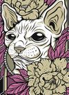 Camiseta - Nikka