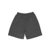 Bermuda Curta Dry Fit - Gray's