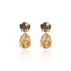 Brinco Dama Gota Golden