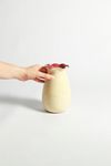 Vaso Flora