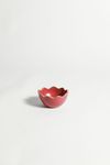 Mini Bowl Flora - Pitaya 
