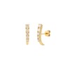 Brinco Earhook Stripe Diamante