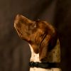 Coleira Canina - Black