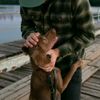 Coleira Canina - Black