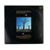 LP Pink Floyd - Delicate Sound of Thunder (1988)