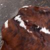 Tapete de pele - Brindle