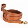 Coleira Canina - Tan
