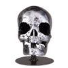  Metal SKULL
