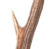 Galhada AXIS