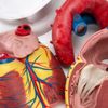 Coração ANATOMIA