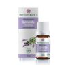 Óleo Essencial Lavanda Francesa 10ml Phytoterápica