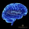 Brain Focus Cognitive Blend Vegan 60 Cápsulas Therapeutica Elements
