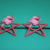 Brinco Aquário e Estrela Rosa Com Vermelho