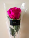 Botão de Rosas Flex (Mínimo de 10 unidades)