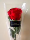 Botão de Rosas Flex (Mínimo de 10 unidades)