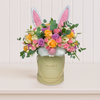 Flowerbox Alegrar