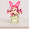  Flowerbox Renascer 